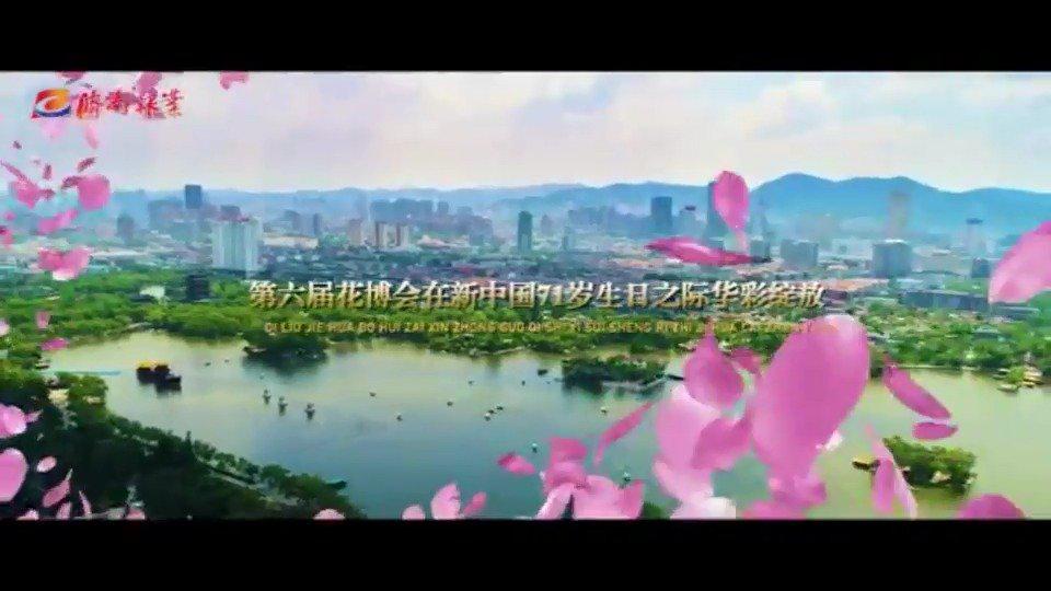 第六届济南花博会《映像花博 绽放2020》宣传片正式发布
