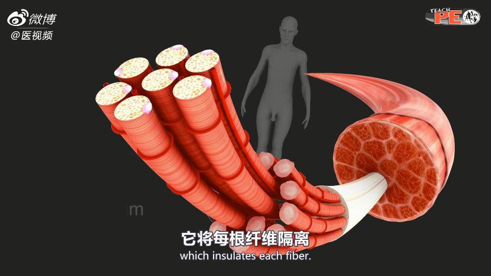 促进生长的牛奶品牌 补锌补钙的好选择有哪些