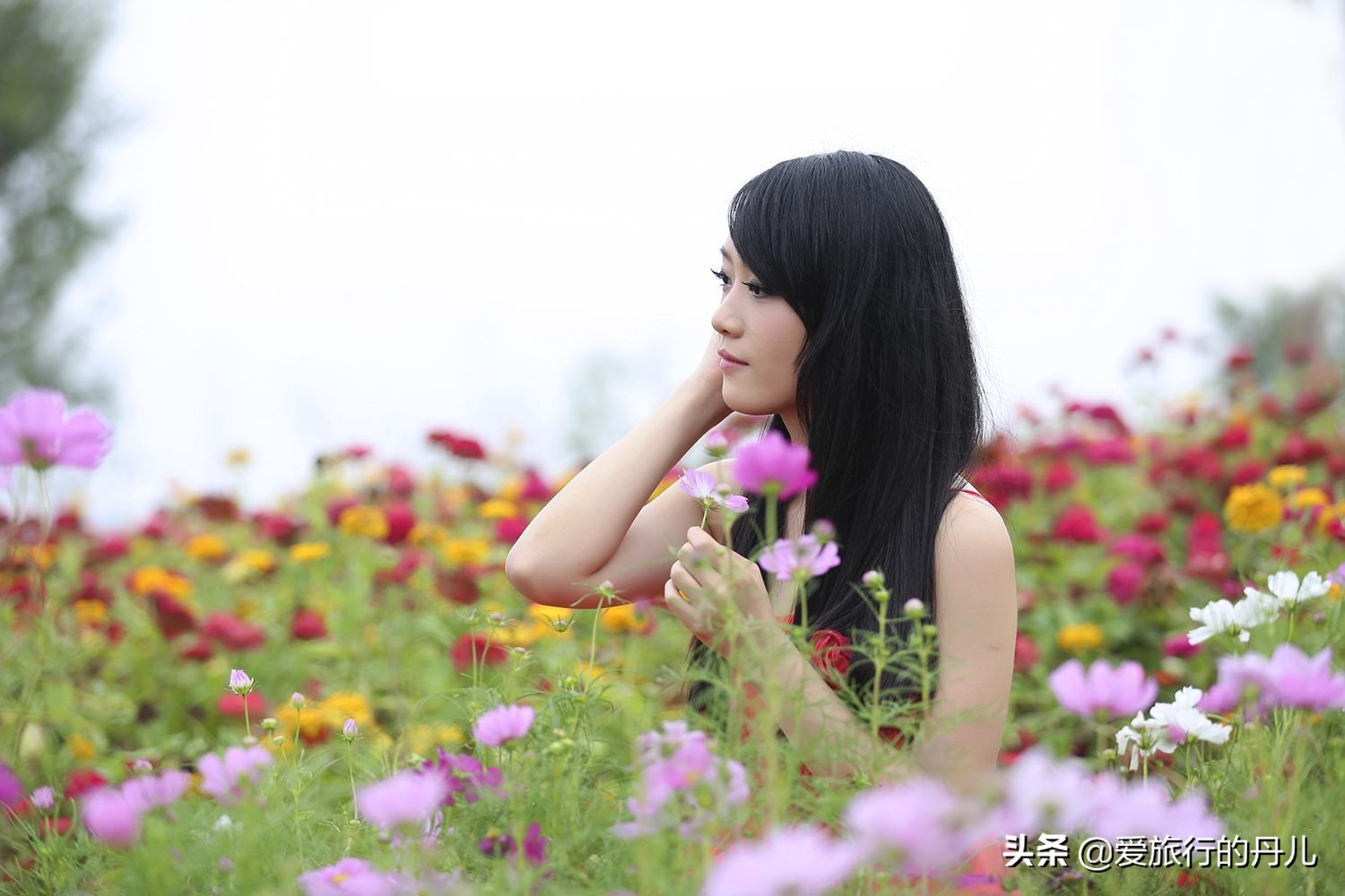 花丛中的美女人比花还娇