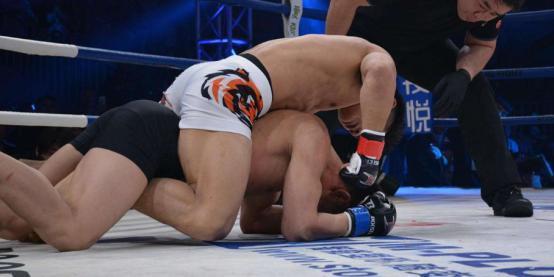 急先锋|王延龙|母其弥雅_新浪新闻