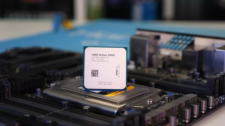 小狮子|速龙|奔腾_新浪新闻