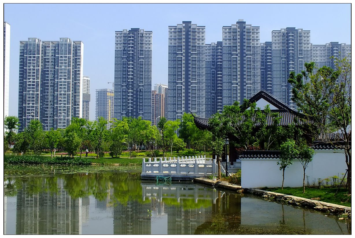 武汉又一公园走红,坐拥浪漫"紫色花海",不收门票适合遛娃散心