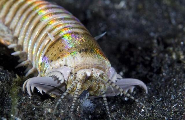 新闻搜索_新浪搜索_新浪网