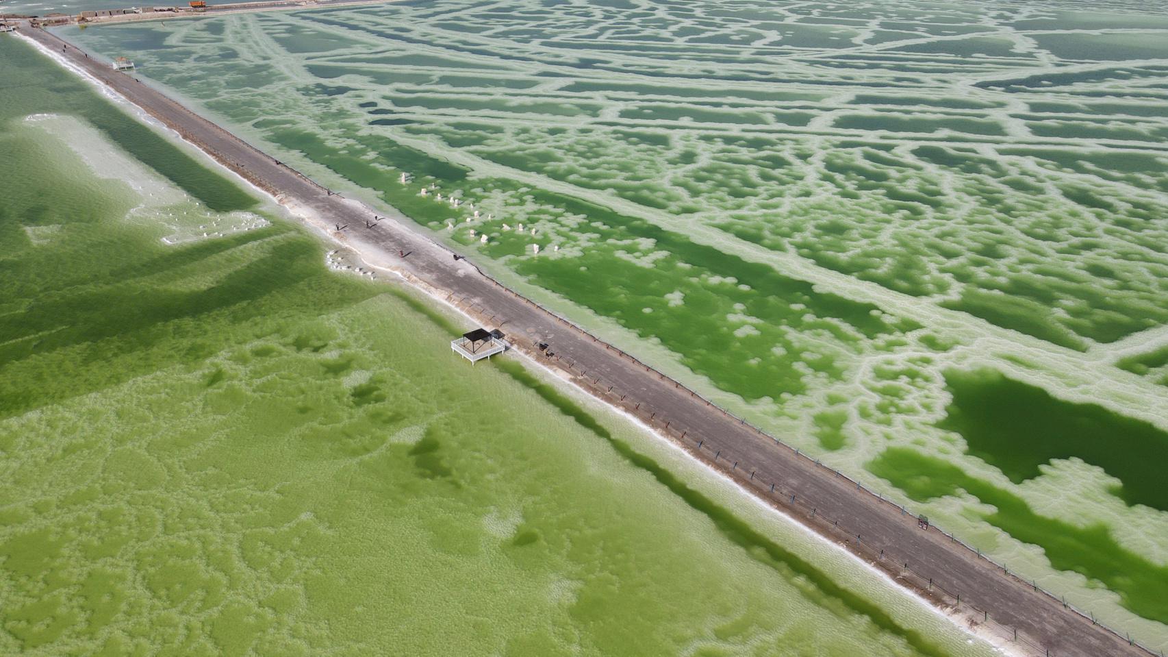 青海旅游千岛盐花 察尔汗盐湖是世界第二大盐湖,在工业矿区里……|青海_新浪新闻