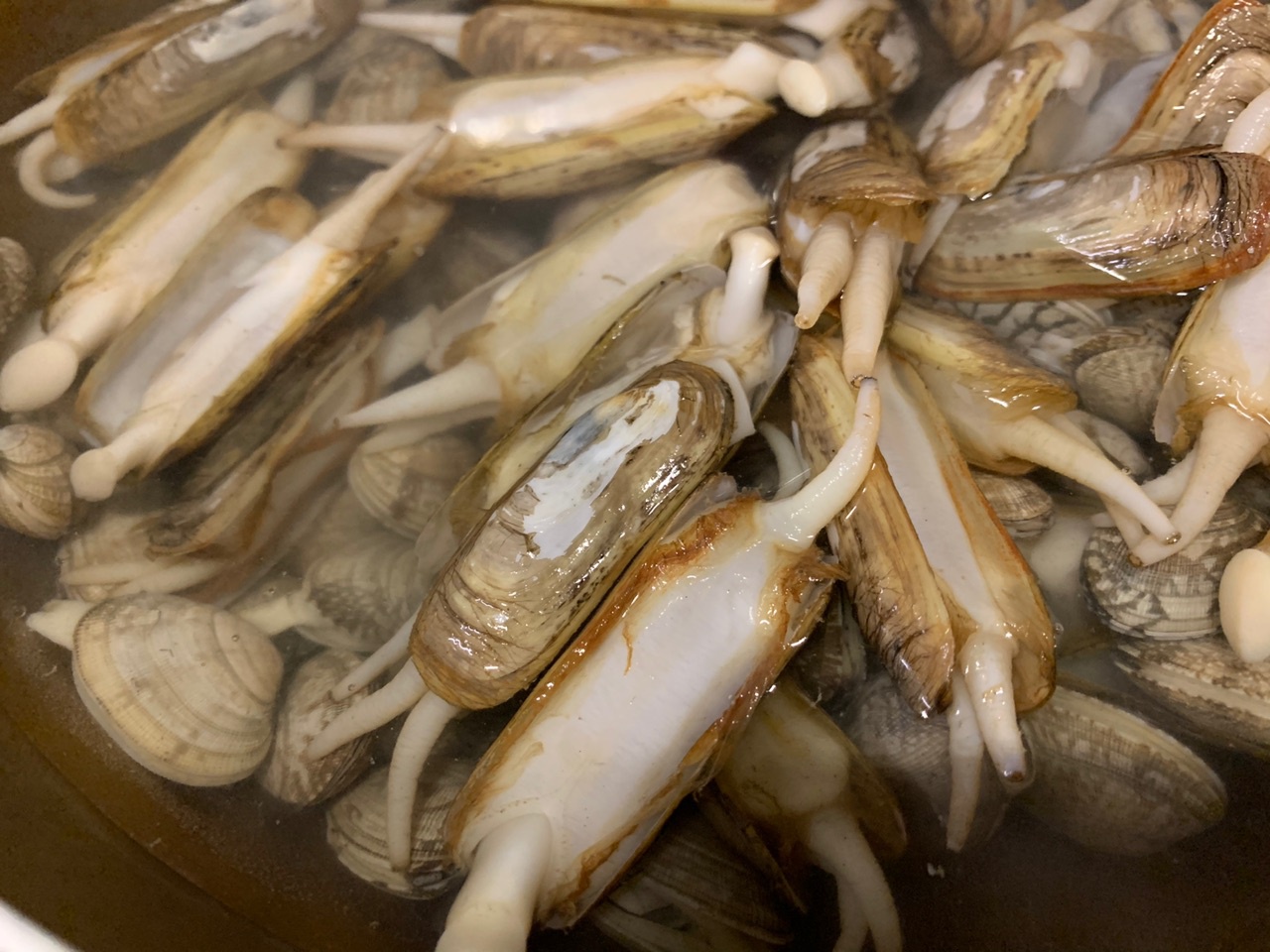 香辣花蛤蛏子的做法配方味道很赞很入味回味无穷