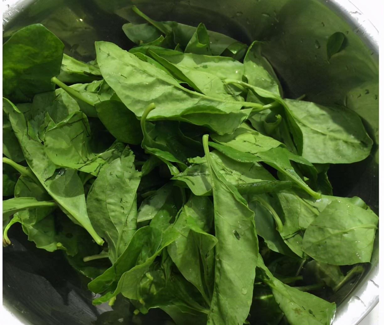 用来煮汤最鲜美,清肝明目,用眼过度的人不吃就亏了|枸杞|枸杞叶|瘦肉