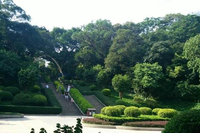 广州规模最大的公园,有广州"后花园"之称,门票还是免费的