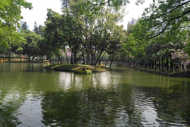 广州规模最大的公园,有广州"后花园"之称,门票还是免费的