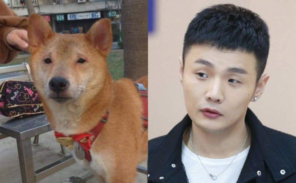 未解之谜,李荣浩是怎么长得又像猫又像狗的?