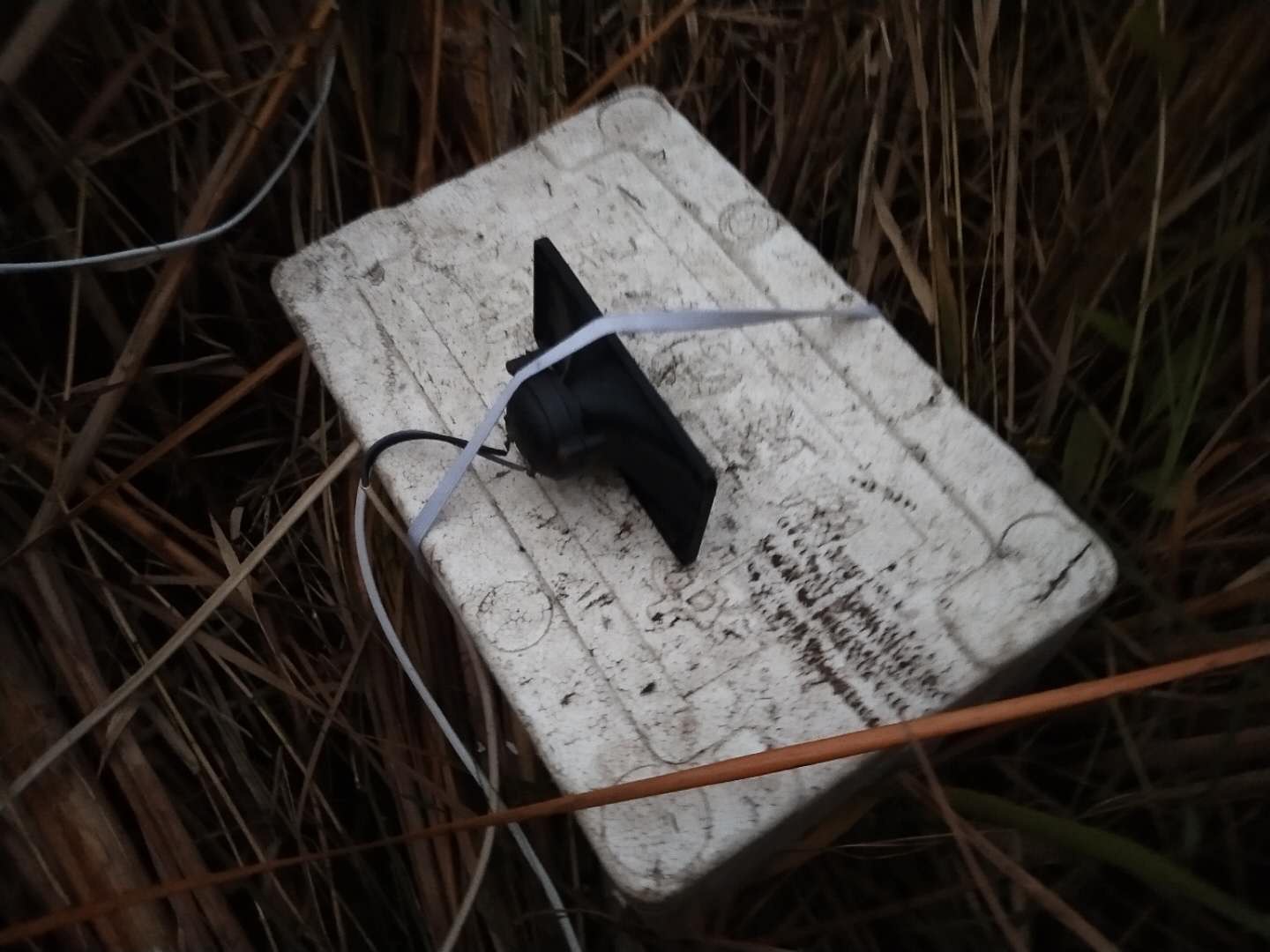 河北唐山再现鸟网捕鸟警方案件已受理正调查