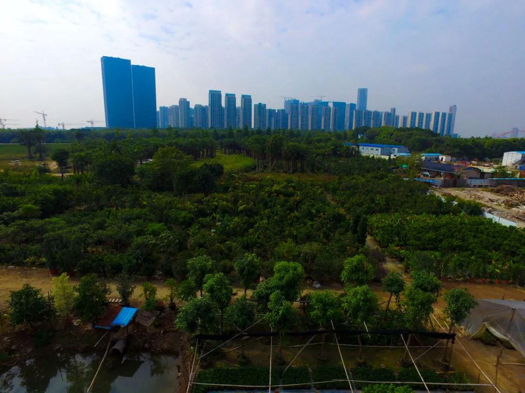 徐州打响节后楼市调控第一枪 诱因或是土拍高溢价抬头