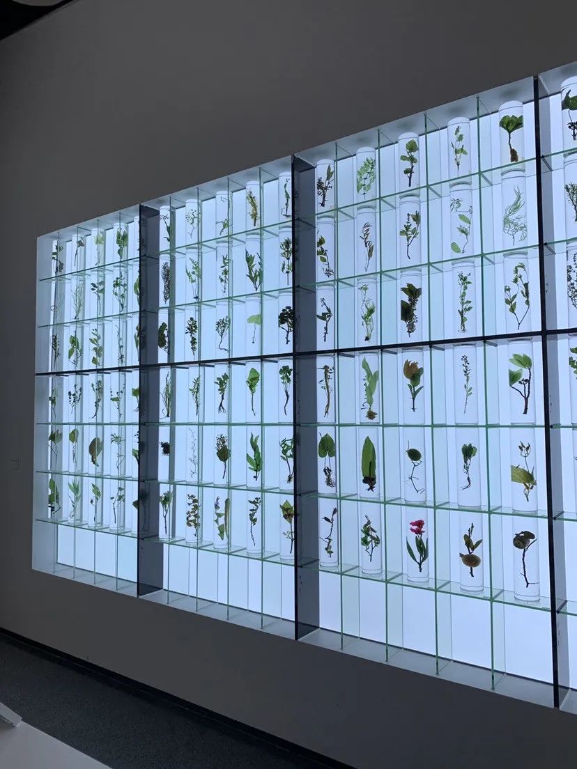 广视预告|广州又一个新晋网红打卡点!