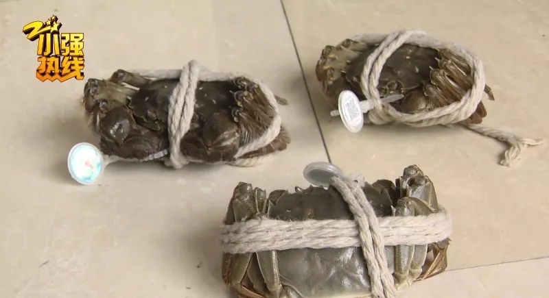 抖音直播间268元买八只“阳澄湖大闸蟹” 防伪标识是前年的