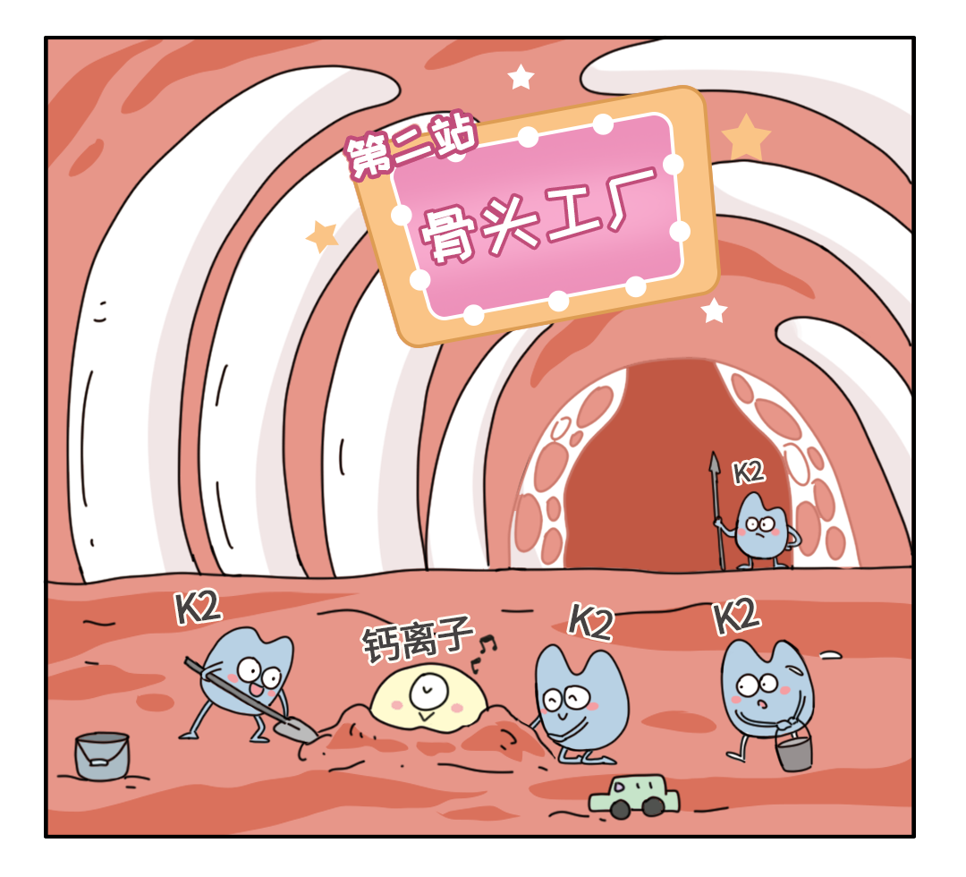 d 会去小肠促进小肠更好地吸收钙离子有利于新骨生成和钙化图片来源