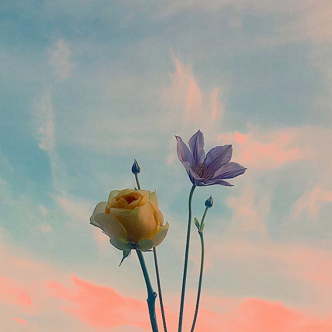 乐观积极向上的唯美句子,看完让人醍醐灌顶