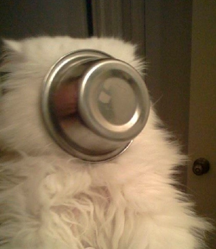 竟然被这个小纸杯给难倒了""我的嘴巴被卡住了啊""舔瓶盖有什么稀奇的