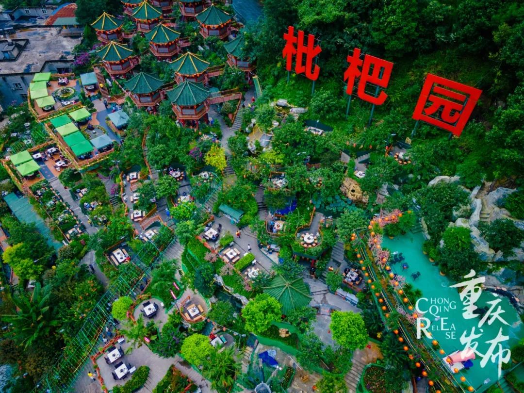 重庆南山枇杷园图片