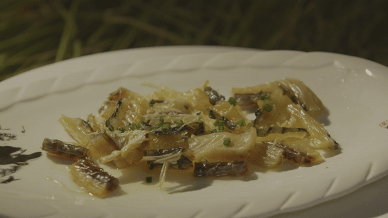 「揾食肇庆」 江湖之鲜