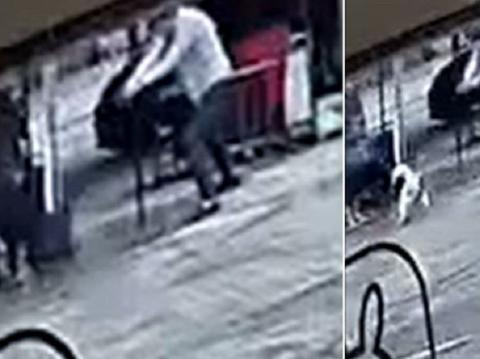 男子投喂流浪狗被咬，恼羞成怒开枪把狗打死，被指控虐待动物休闲区蓝鸢梦想 - Www.slyday.coM