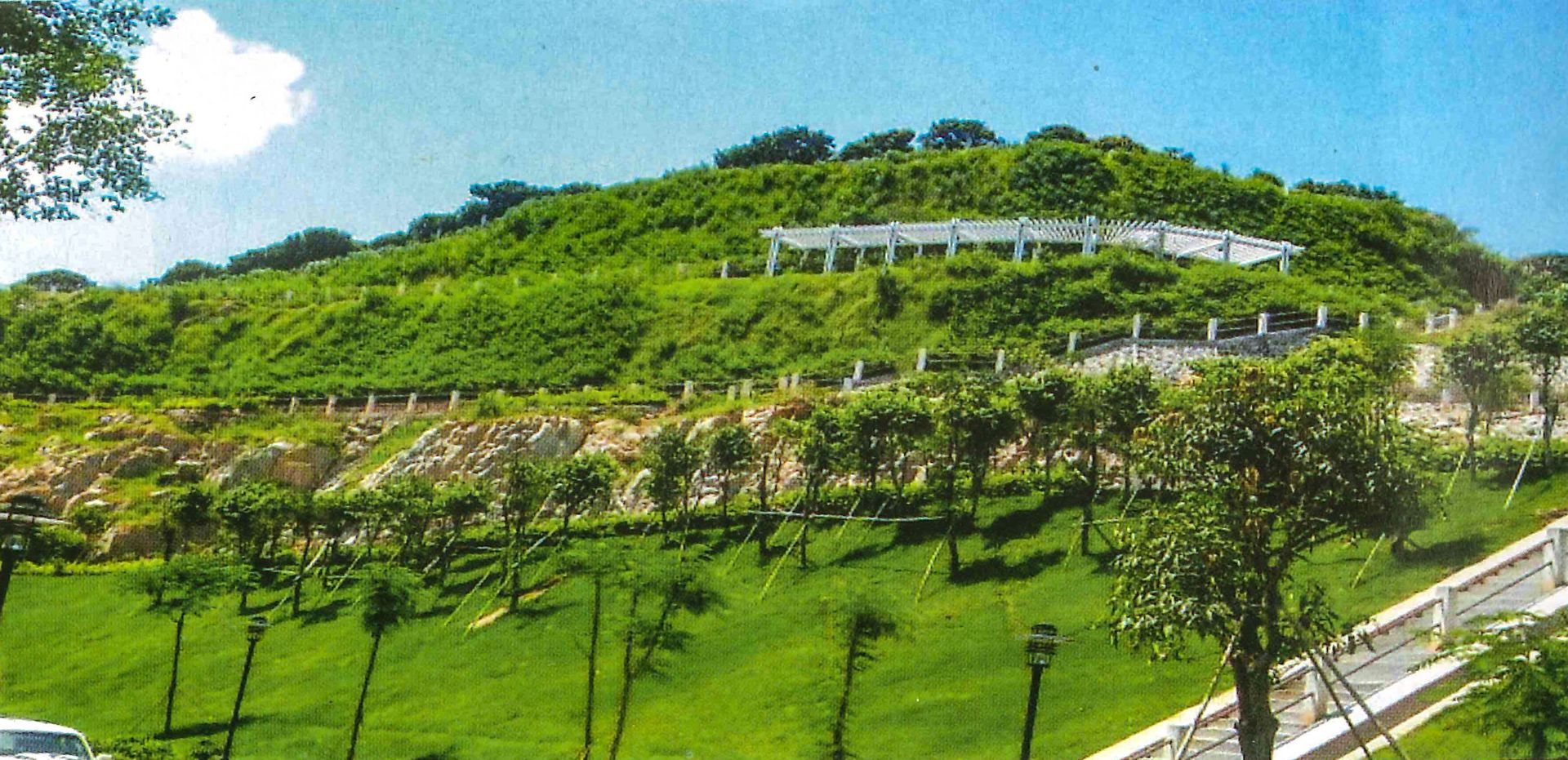 山体绿化对比图"当时面临的问题太多了,比如有的山丘坡度八九十度