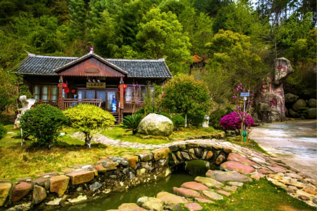 也有树林   明明美成仙境,却静静的偏安一隅   这里位于南昌新建区溪