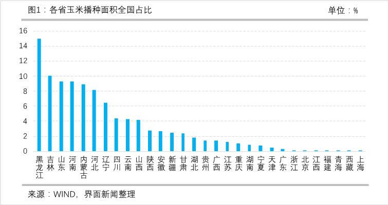 台风和“政策风”共振：玉米涨价的背后