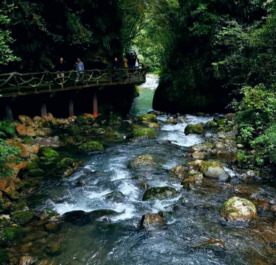 赏心悦目桃溪谷邹清平