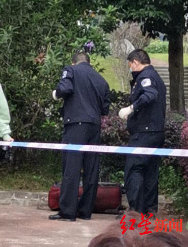 红星新闻|四川资阳电缆井内发现行李箱藏尸？警方通报