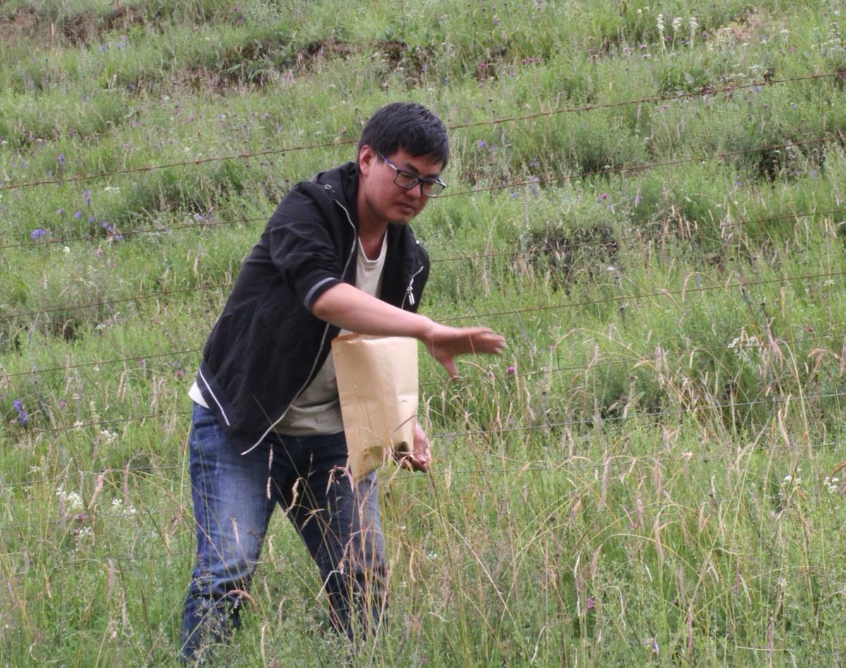 中国技能型人才为边疆建设注入源源不断的活力|新疆_新浪新闻