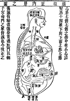 2pac身体解剖6张图片