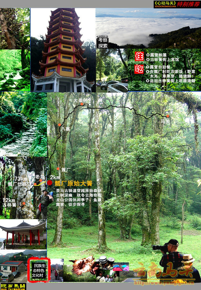 古林箐瓢厂原始森林 图片来源于马关县人民政府网站