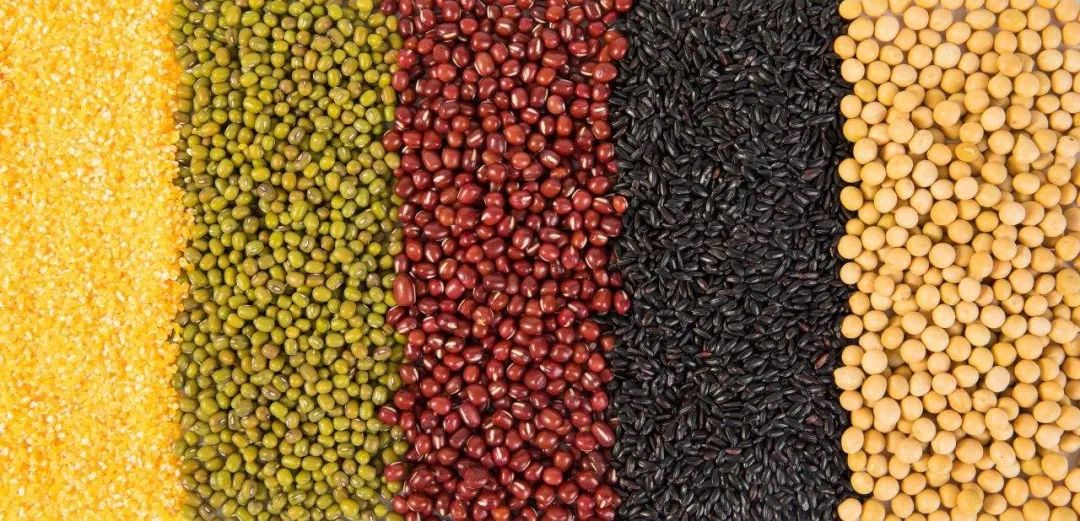 吉林三井子杂粮杂豆产业园正式揭牌运营