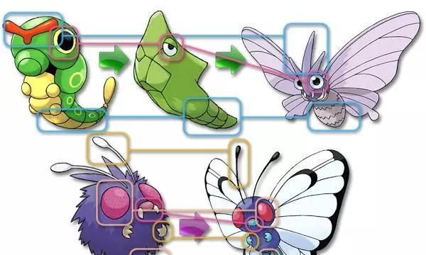 游漫谈细思极恐的宝可梦绿毛虫进化错乱勇吉拉起诉任天堂