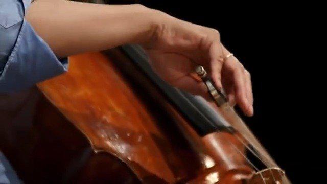 太美了! 马友友和kathryn stott 用大提琴和钢琴演奏《天鹅之死》