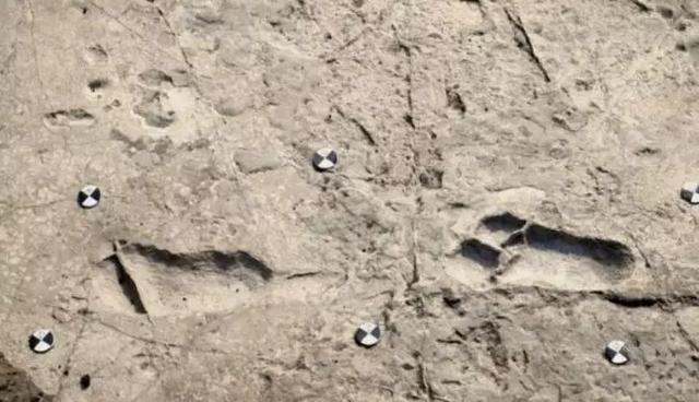 人类最古老的足迹被发现？可追溯到500万年休闲区蓝鸢梦想 - Www.slyday.coM