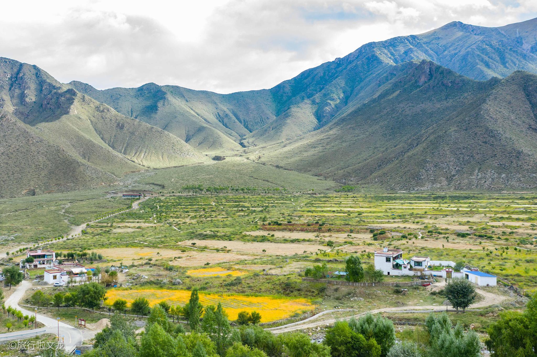 拉萨近郊的达东村,仓央嘉措在此修行三年,在相思树下遥忆姑娘