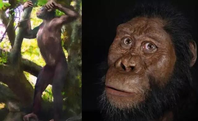 人类最古老的足迹被发现？可追溯到500万年休闲区蓝鸢梦想 - Www.slyday.coM