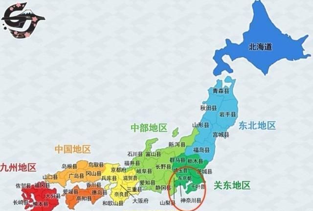 灌篮高手:仙道为何不远千里,从东京跑到神奈川县去打篮球呢?