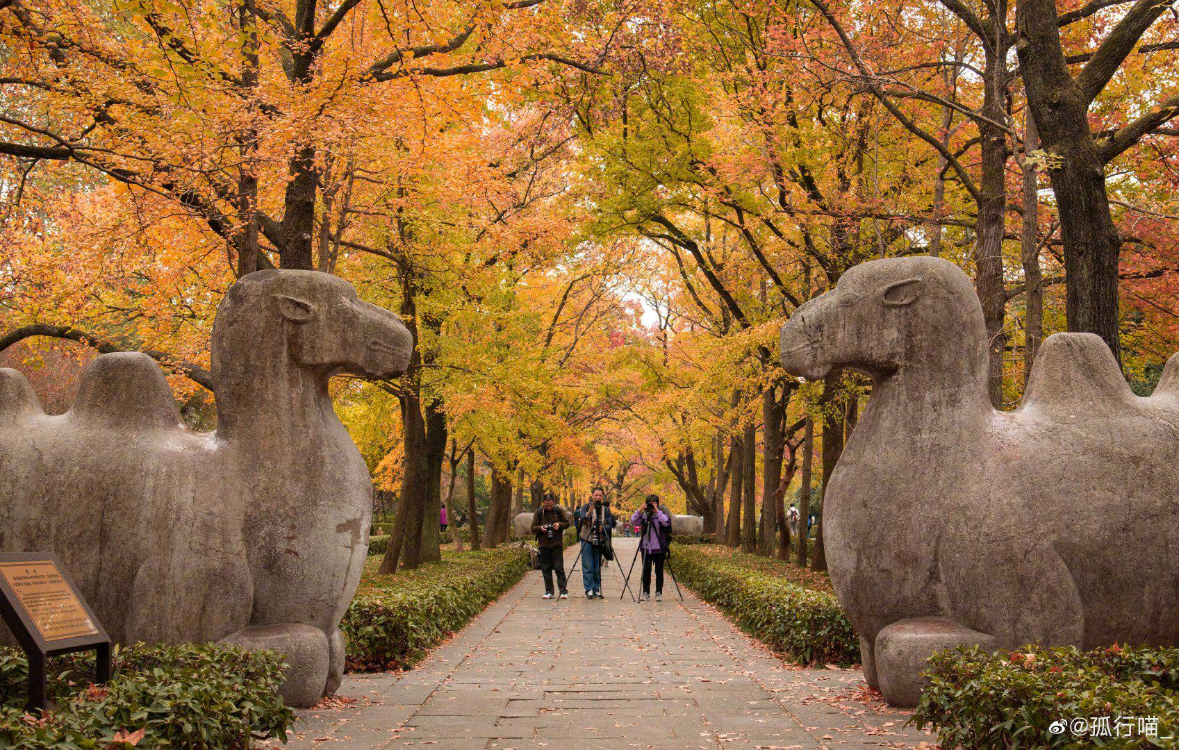 南京明孝陵神道