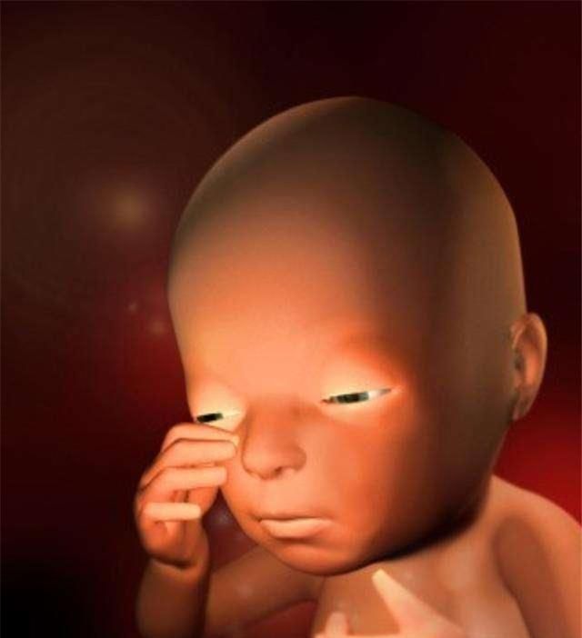 胎儿38周出生跟40周出生有啥区别过来人娘胎一天抵十天