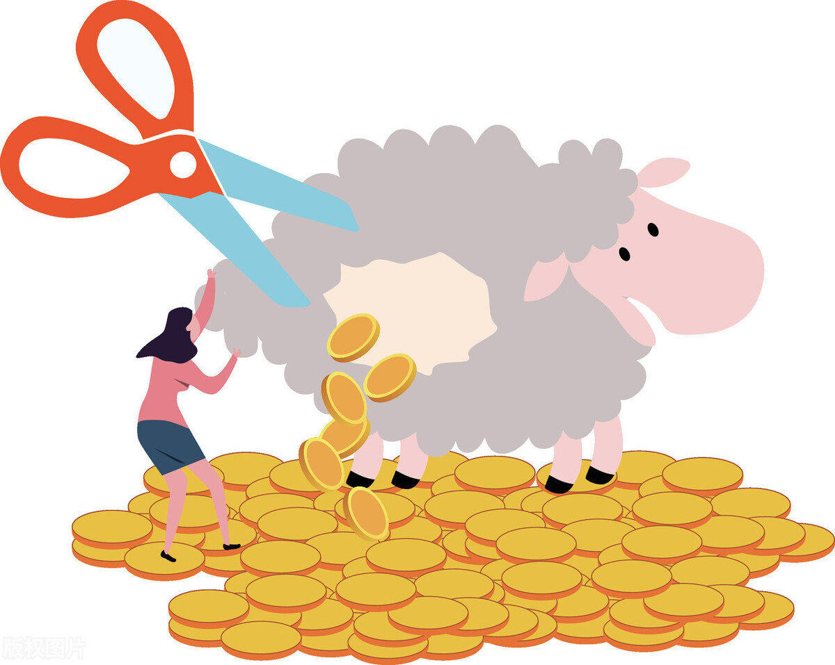 薅羊毛最高境界商家漏洞被利用被薅羊毛濒临破产