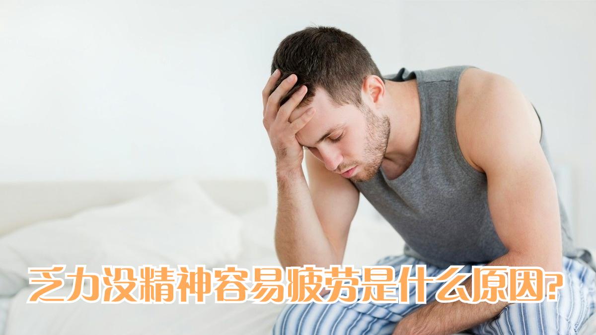 总觉得乏力没精神,容易疲劳是什么原因?药师详细解答