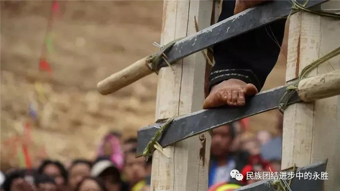 云南少数民族最具惊险特色的节日,是傈僳族,彝族的"刀杆节".