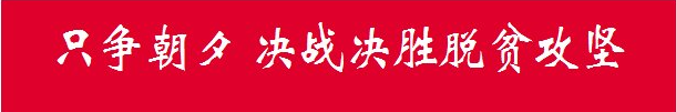 【口岸】满洲里海关查获夹藏走私海参、玉矿石案件