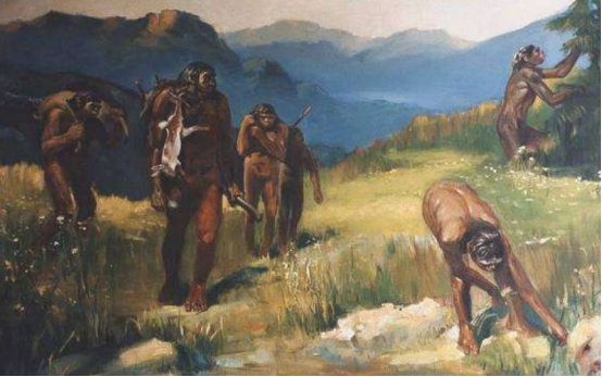 远古时代有17个人种却只有智人进化成人类他们怎么做到的