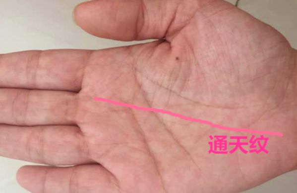 通天|掌纹|手相_新浪新闻