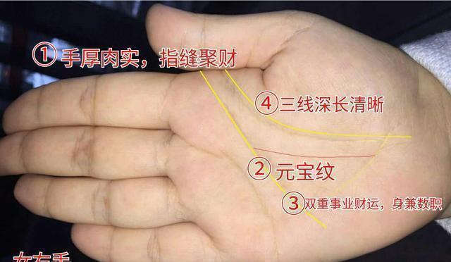 几种手纹的女人,贤妻良母,横财滚滚,嫁入豪门!