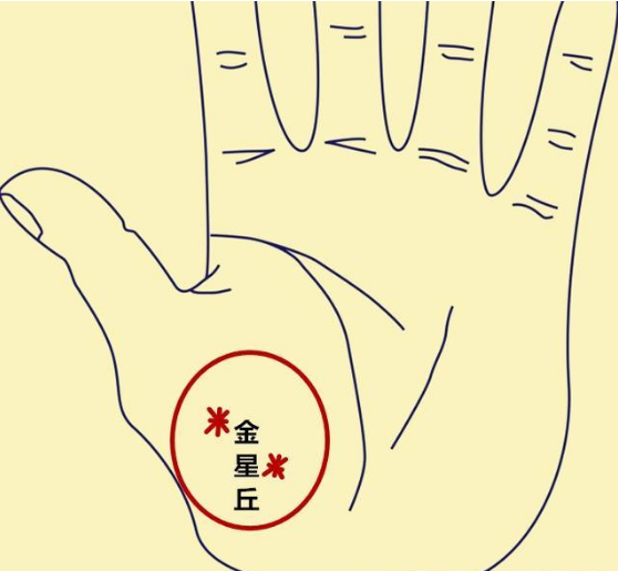 手相看福气手掌三处米字纹吉星高照富贵逼人