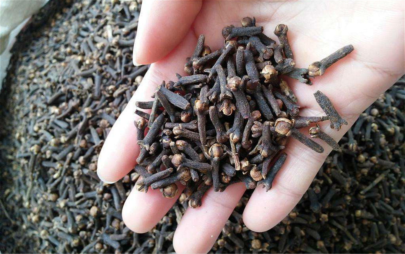 制饵原料:玉米粒五公斤,公丁香100g,玉米粒中度曲酒2.5l.