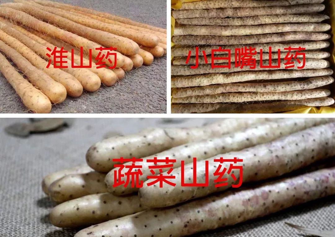 下面便是这几种常见的假铁棍山药:冒充真正的铁棍山药也有很多人用